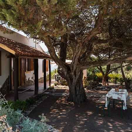 펜션 Buranti Sea View 알게로