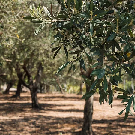 Ferienhaus Buranti Sea View *