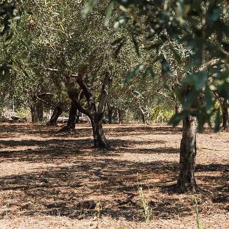 Buranti Sea View Ferienhaus *