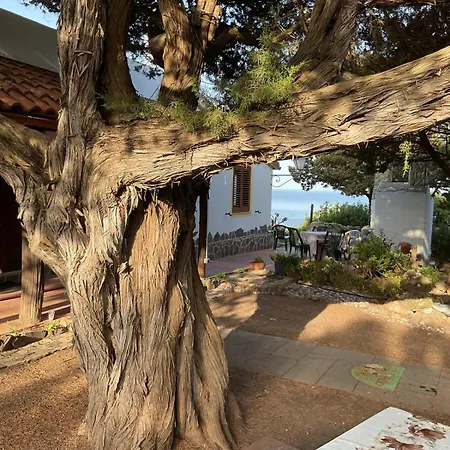 Buranti Sea View Tatil Evi *